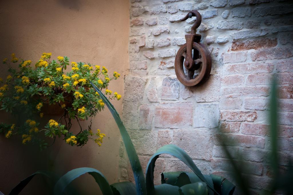 Relais B&B Corte Dei Turchi Longiano Екстер'єр фото